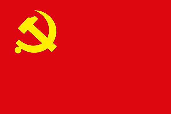 “强学习、提站位、深反思、促整改”专题学习活动心得体会