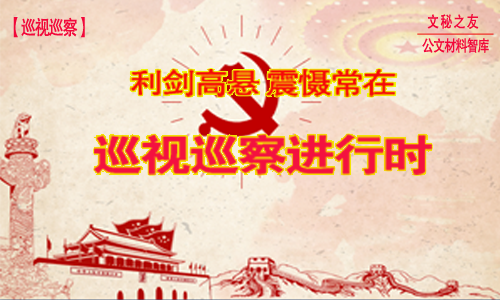 全套巡视整改工作任务部署会材料（方案 讲话 报告）