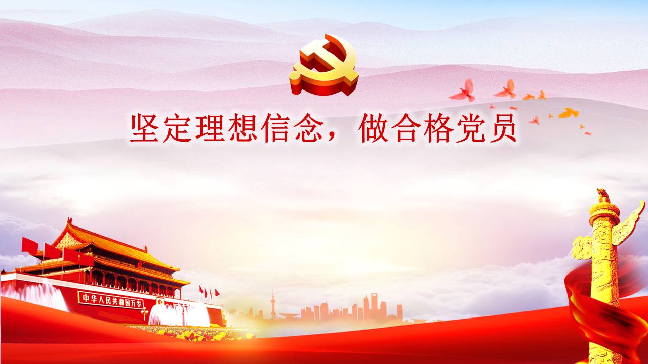 坚定理想信念做合格党员d19110107