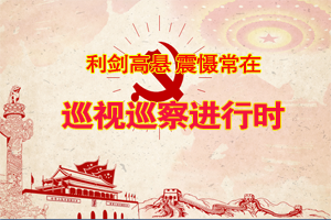 在公司巡察动员会上的讲话
