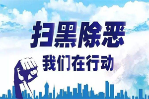 2018年扫黑除恶专项斗争工作总结