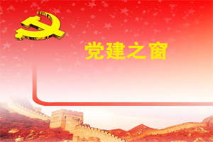 2019年党建工作要点