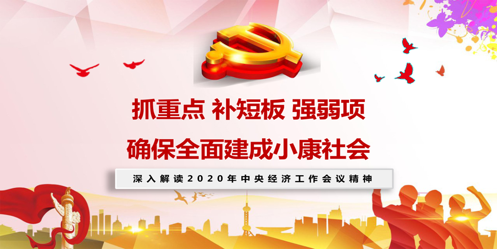 2020年中央经济工作会议解读传达ppt课件d19122502