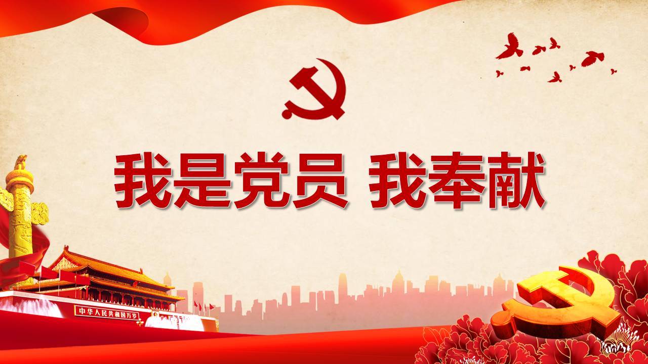 主题党课我是党员我奉献z19102905
